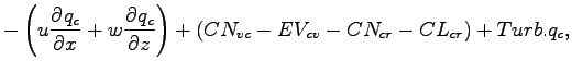 $\displaystyle - \left( u \DP{q_{c}}{x} + w \DP{q_{c}}{z} \right)
+ ( CN_{vc} - EV_{cv} - CN_{cr} - CL_{cr}) + Turb.q_{c},$