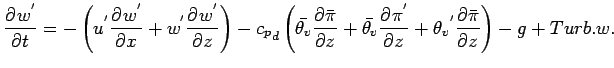 $\displaystyle \DP{w^{'}}{t} =
- \left(
u^{'} \DP{w^{'}}{x}
+ w^{'} \DP{w^{'}}{z...
...v}} \DP{\pi^{'}}{z}
+ {\theta_{v}}^{'} \DP{\bar{\pi}}{z}
\right)
- g
+ Turb.w .$