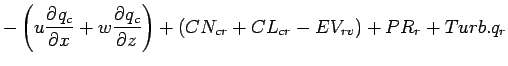 $\displaystyle - \left( u \DP{q_{c}}{x} + w \DP{q_{c}}{z} \right)
+ (CN_{cr} + CL_{cr} - EV_{rv} ) + PR_{r} + Turb.q_{r}$